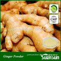 Ginger Extract Powder(Water Soluble )